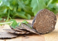 Application of truffles in culinary industry