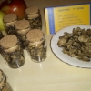 Сушеные трюфели- Macrosporum vitt